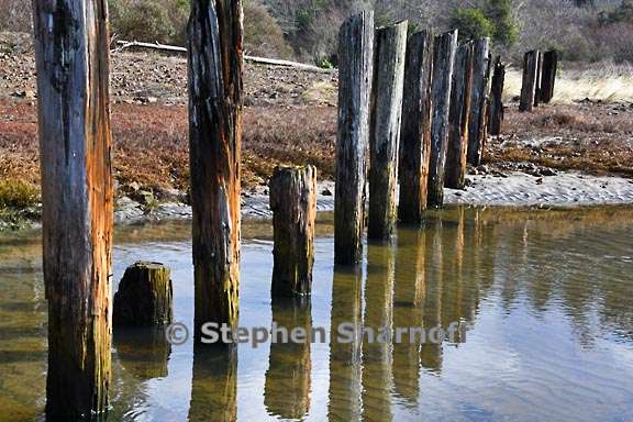 casper pond pilings graphic
